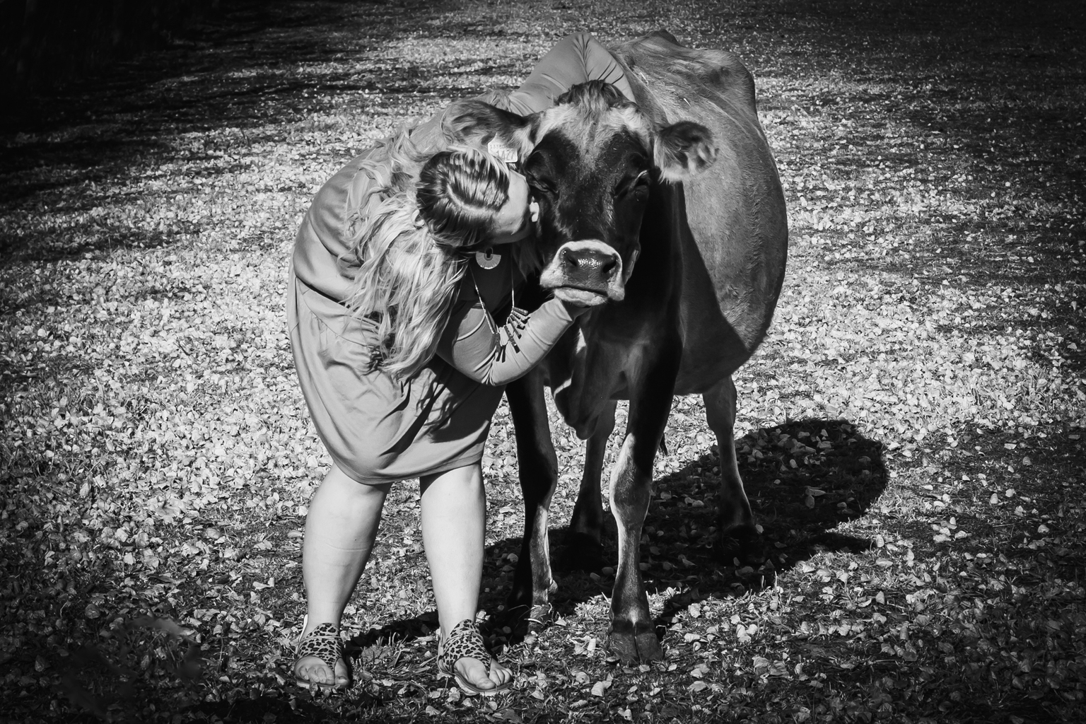 Fall Farm Photo Session 2023_Feitsma05